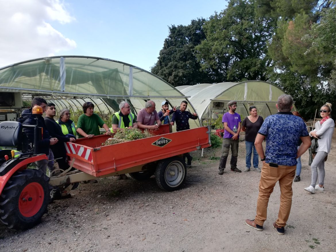 Jeunes et techniciens